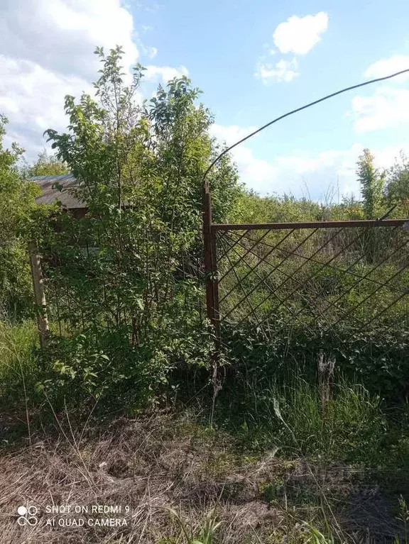 Участок в Воронежская область, Новоусманский район, Усманское 1-е ... - Фото 0