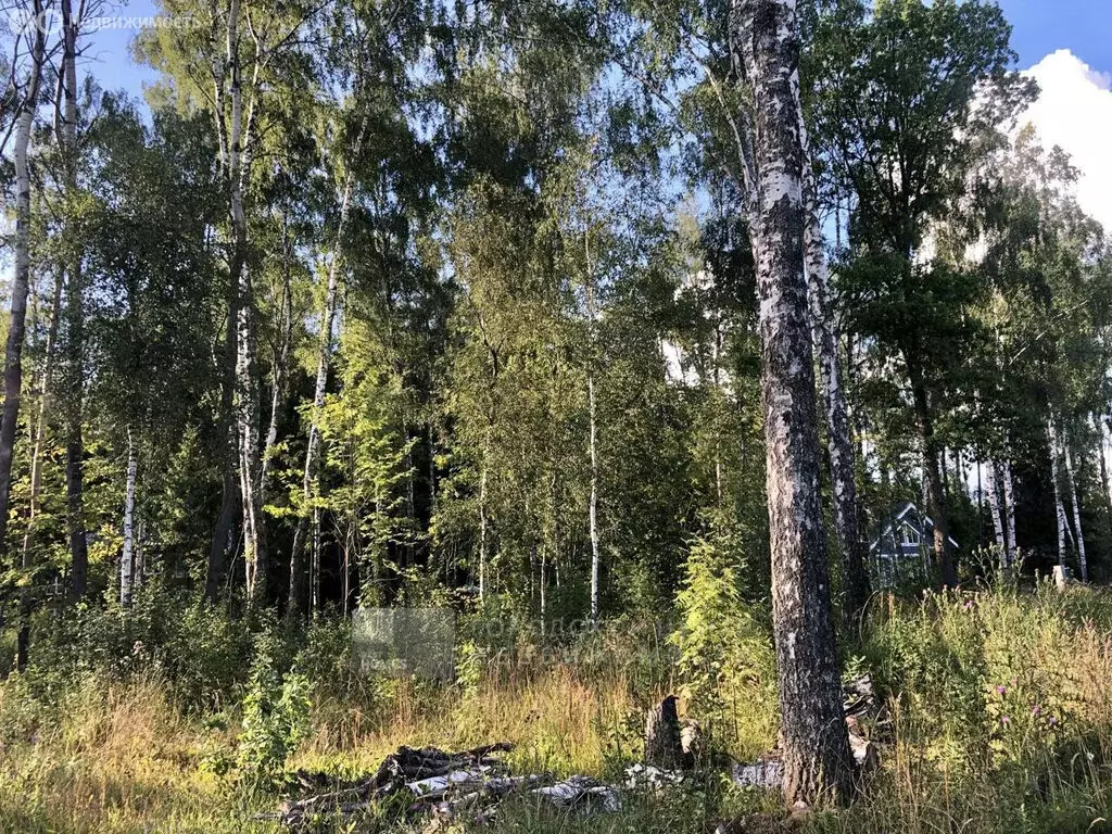 Участок в Московская область, городской округ Мытищи, деревня ... - Фото 1