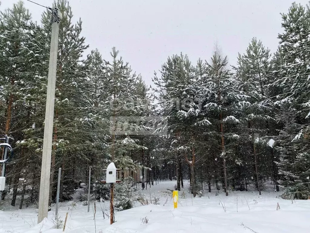 Участок в Удмуртия, Завьяловский район, д. Докша  (10.5 сот.) - Фото 0