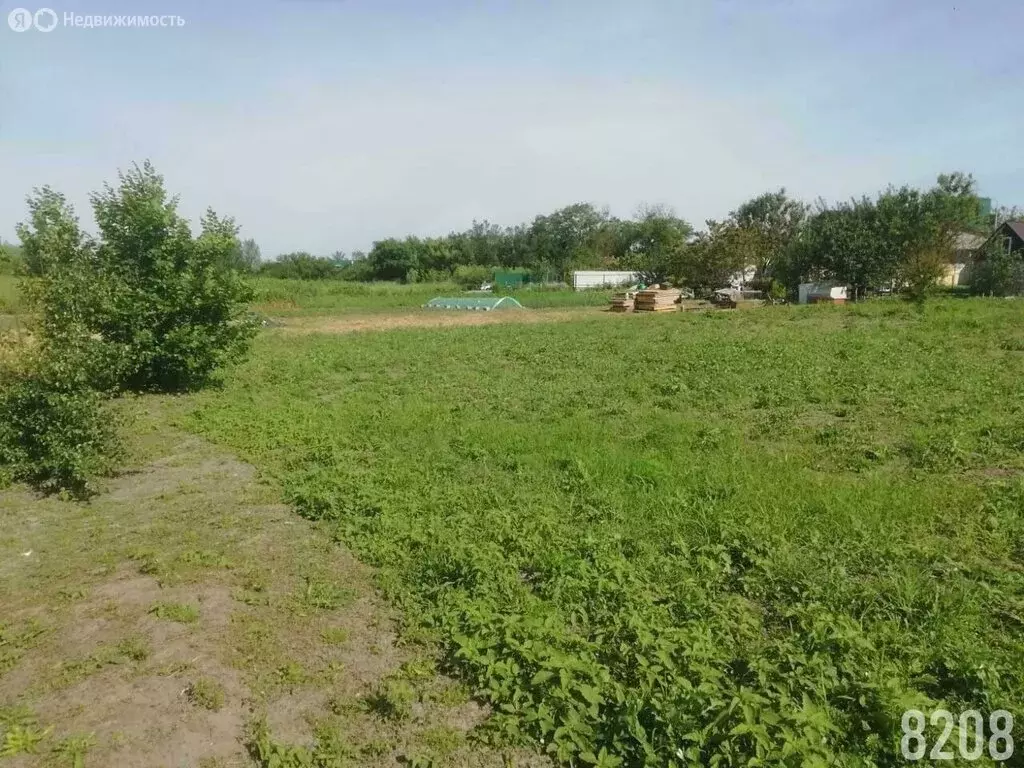 Участок в Старочеркасская, улица Калинина, 31 (7.5 м) - Фото 1