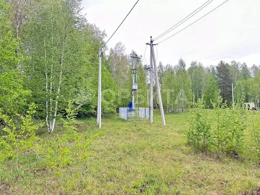 Участок в Тюменская область, Тюменский район, с. Горьковка  (8.0 сот.) - Фото 1