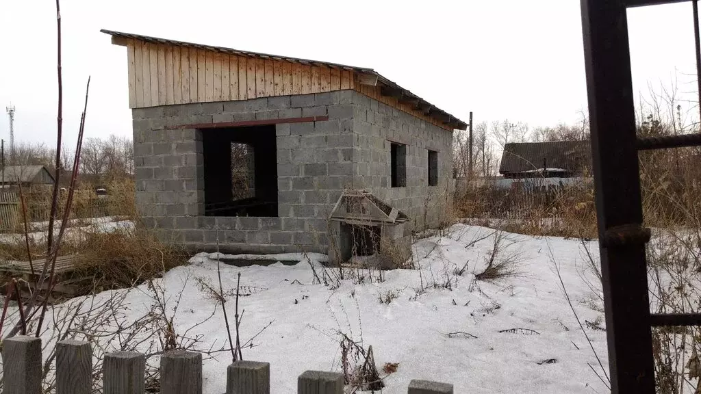 Участок в Омск, садоводческое некоммерческое товарищество Дары Сибири, ... - Фото 1