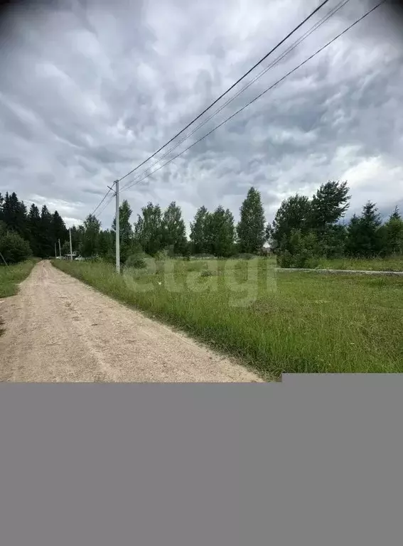 Участок в Пермский край, Пермский муниципальный округ, д. Дикая Гарь ... - Фото 2