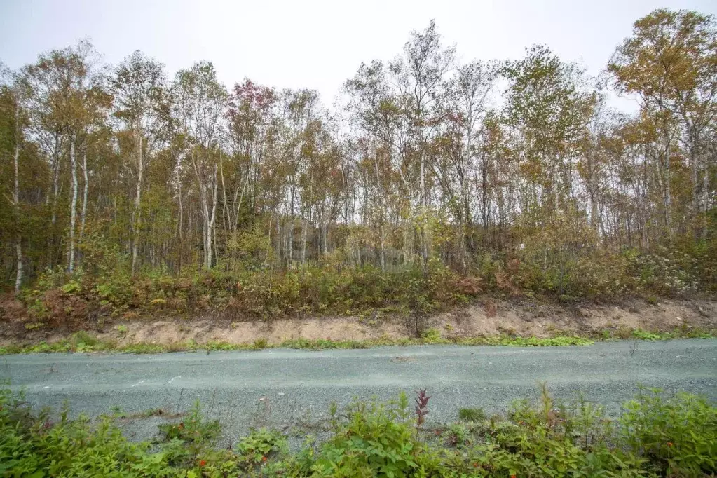 Участок в Сахалинская область, Южно-Сахалинск Нарколог ДНТ, 17 (10.0 ... - Фото 2