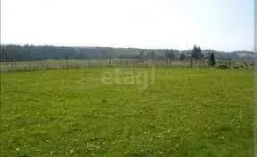 Участок в Елизаветинское сельское поселение, хутор Городище, Лазурная ... - Фото 2