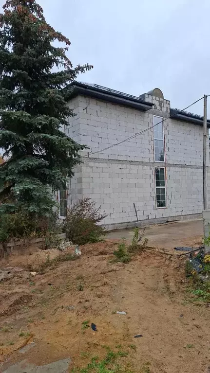 Продается дом в д. Борисовка - Фото 2