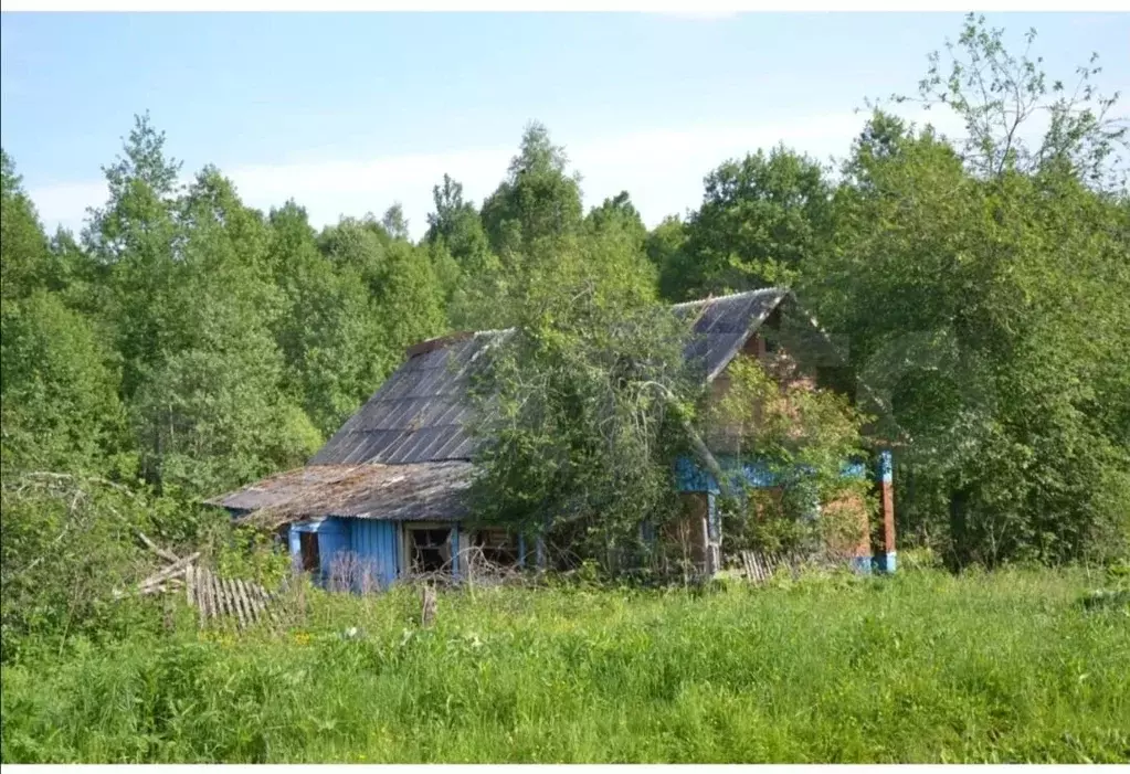 Калужская деревня фото Дачные участки Шубартовка, Кировский район на AFY.ru