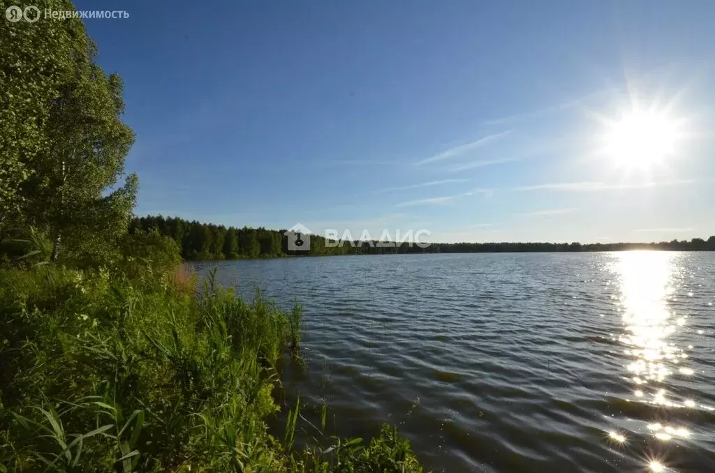 Участок в Московская область, городской округ Клин, деревня Подорки, ... - Фото 1