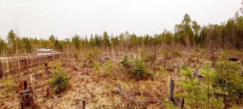 Участок в Республика Коми, муниципальный район Корткеросский, ... - Фото 1