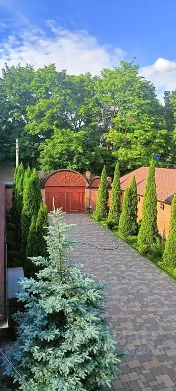 Дом в Московская область, Домодедово городской округ, с. Ям ул. ... - Фото 2