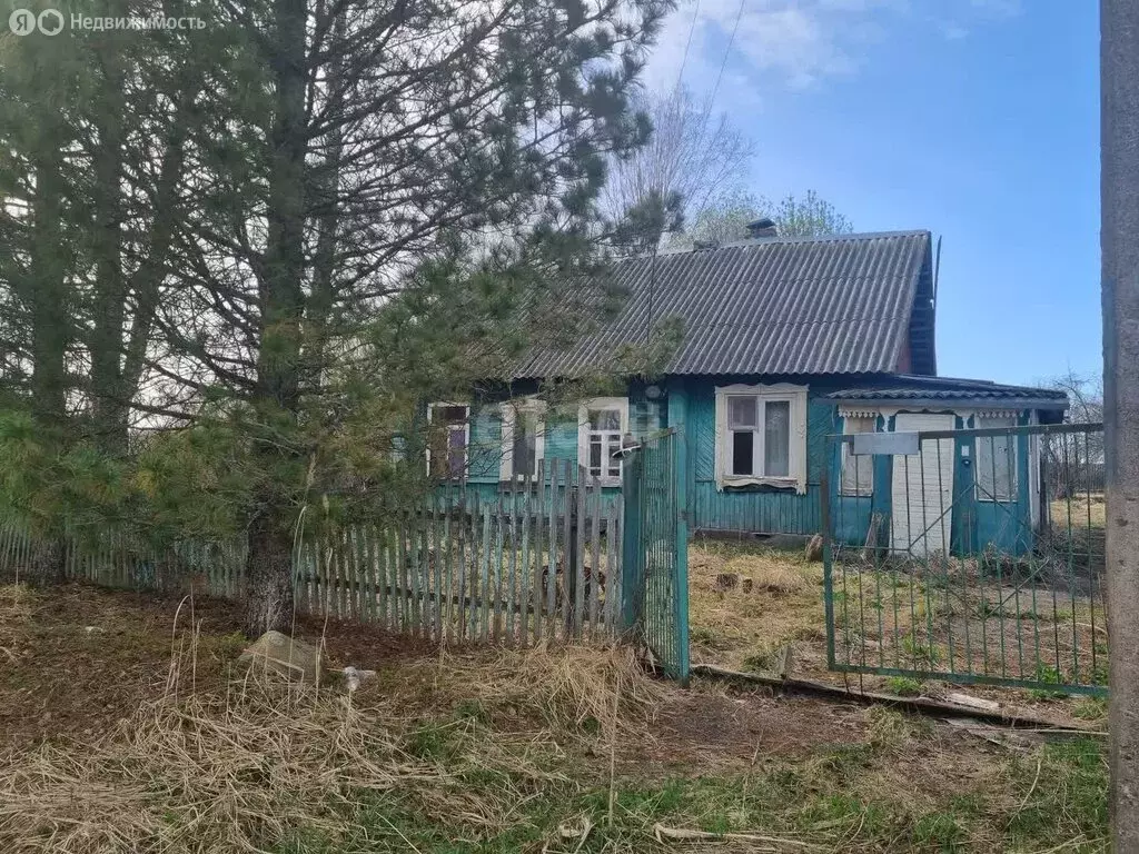 Дом в Стодолищенское сельское поселение, деревня Борщевка (53.3 м) - Фото 0