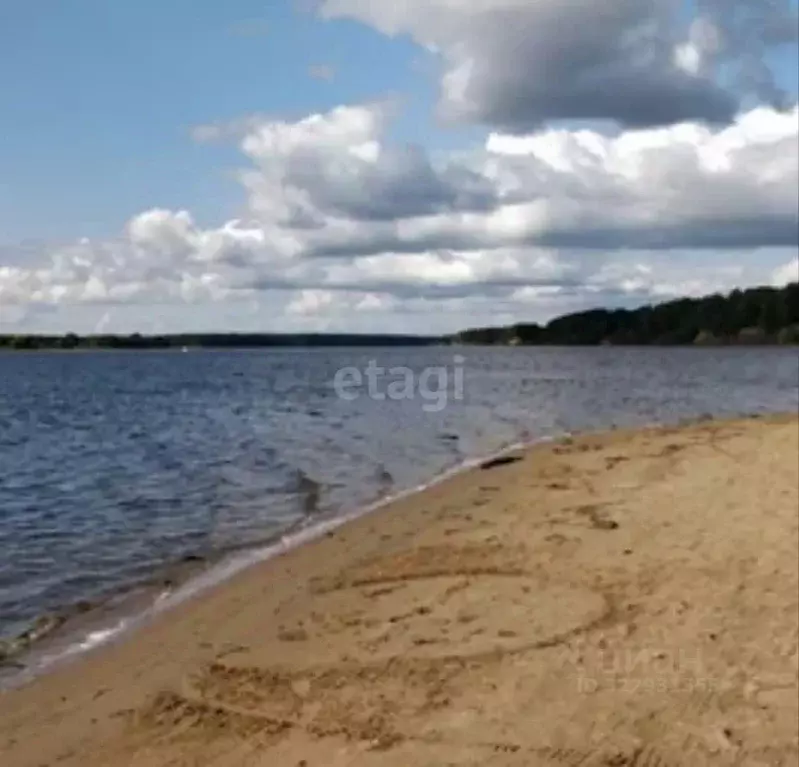 Участок в Ярославская область, Мышкинский муниципальный округ, д. ... - Фото 2