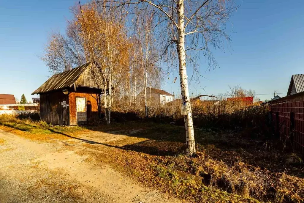 Участок в Ханты-Мансийский АО, Сургут Берендей № 38 СТ, ул. Березовая ... - Фото 0