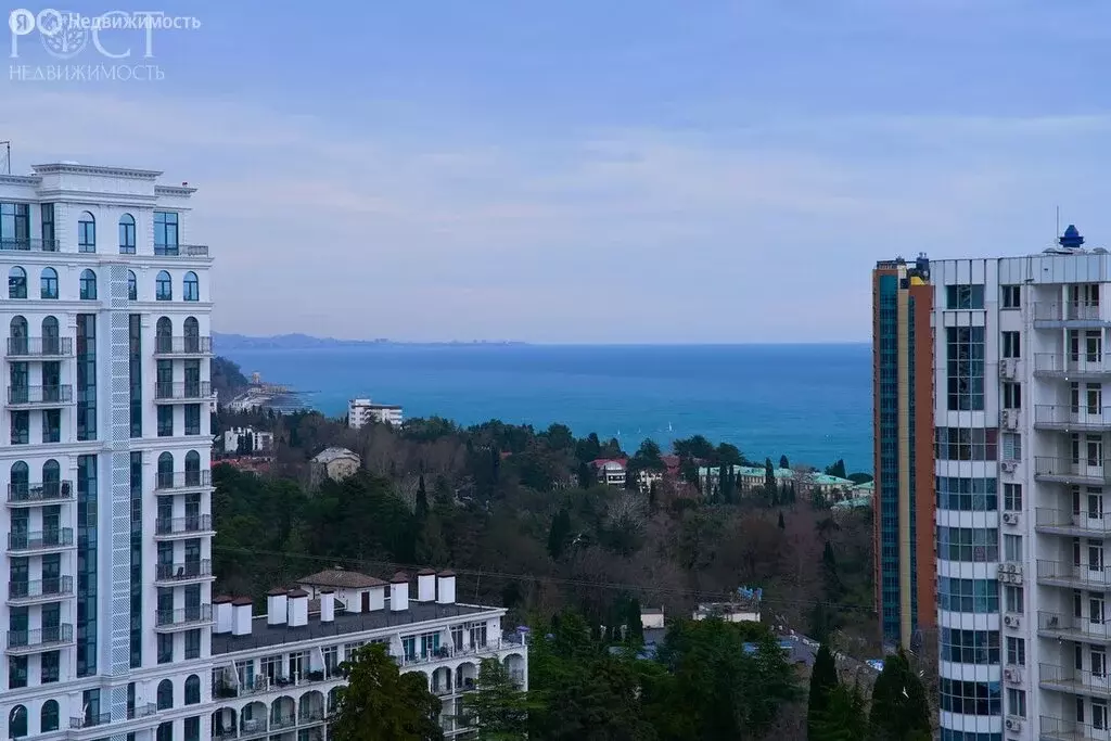 1-комнатная квартира: Сочи, микрорайон Светлана, Депутатская улица, 10 ... - Фото 2