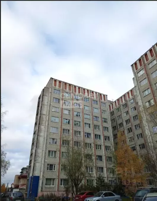 Торговая площадь в Ханты-Мансийский АО, Сургут ул. Маяковского, 34 (45 ... - Фото 1