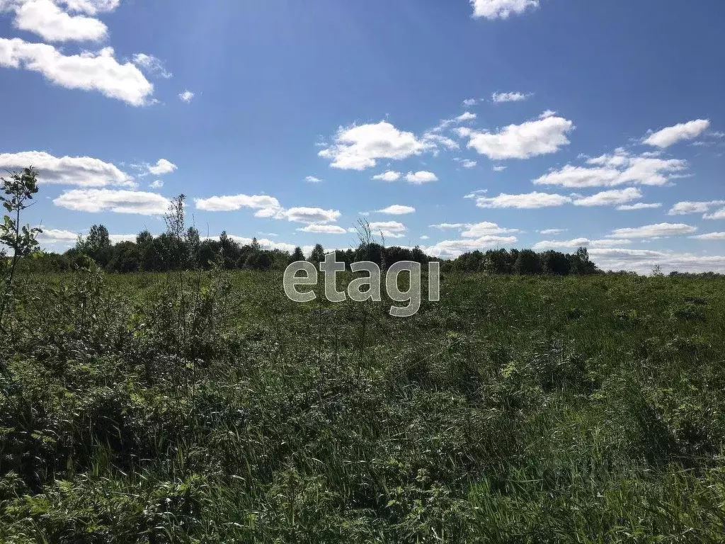 Участок в Вологодская область, Шекснинский район, д. Ершово  (19.82 ... - Фото 1