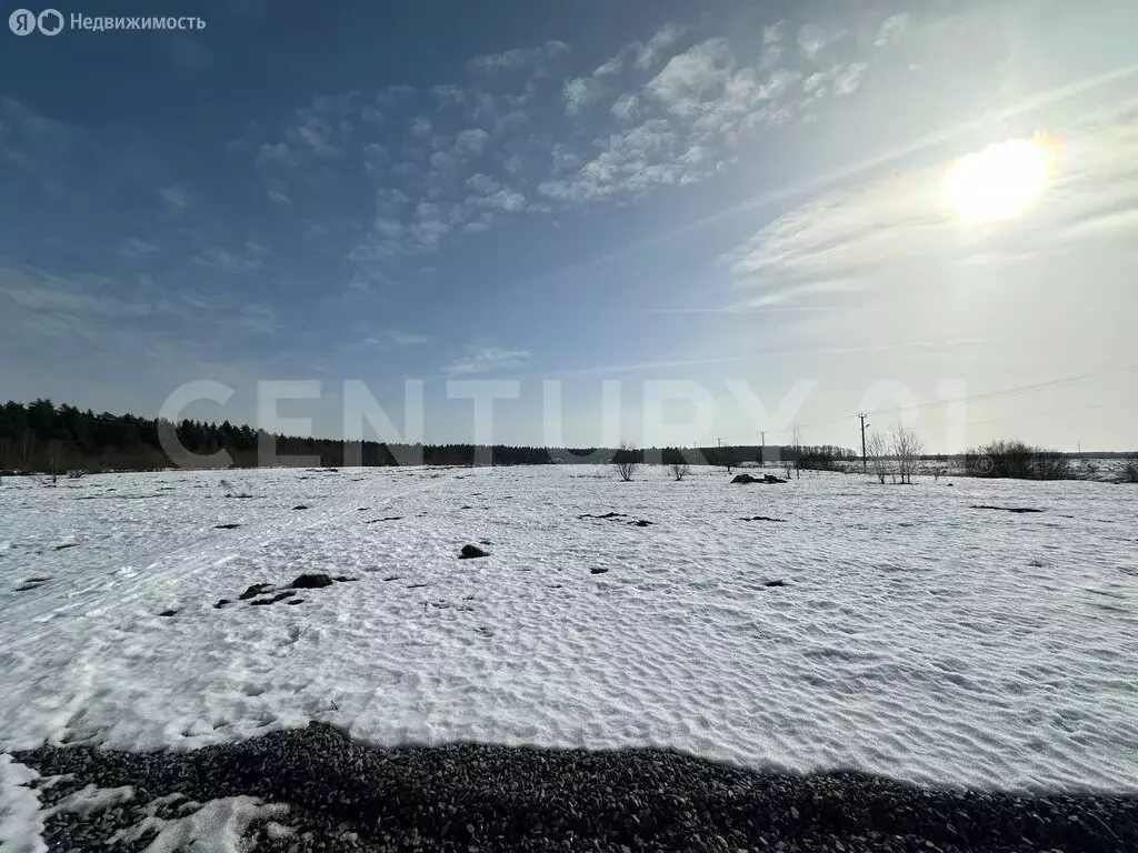 Участок в Отрадное, посёлок Петрушино, Полевая улица (10 м) - Фото 1