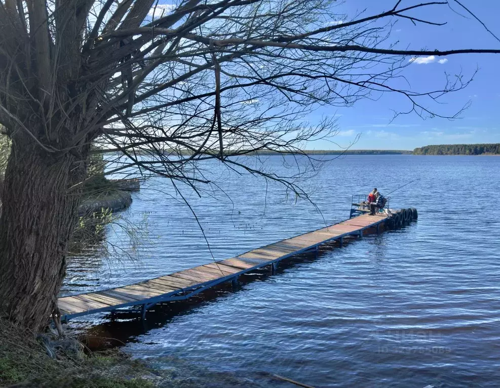 Дом в Тверская область, Конаковский муниципальный округ, д. Городище ... - Фото 2