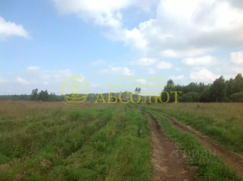 Участок в Свердловская область, Ревда муниципальный округ, с. ... - Фото 1