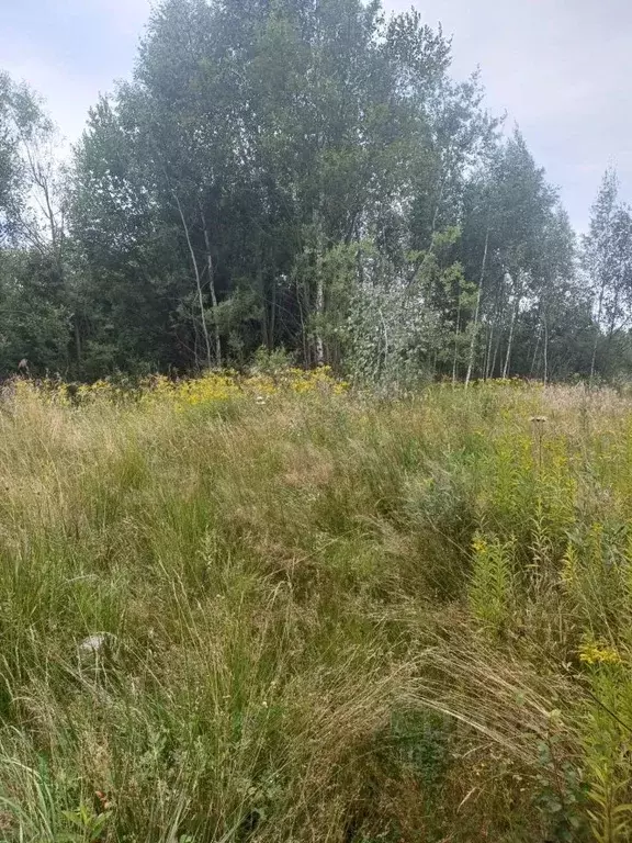 Участок в Московская область, Электросталь городской округ, д. Есино  ... - Фото 2