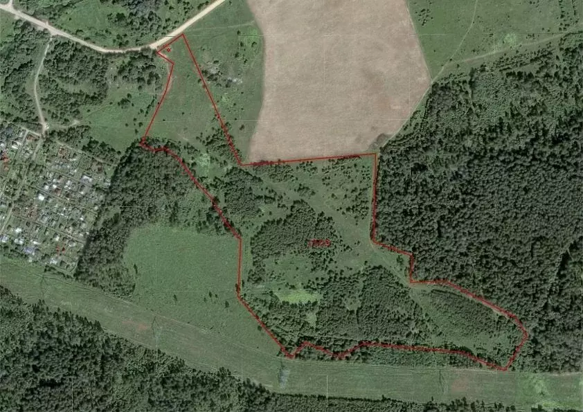 Участок в Московская область, Можайский муниципальный округ, Колос СНТ ... - Фото 1