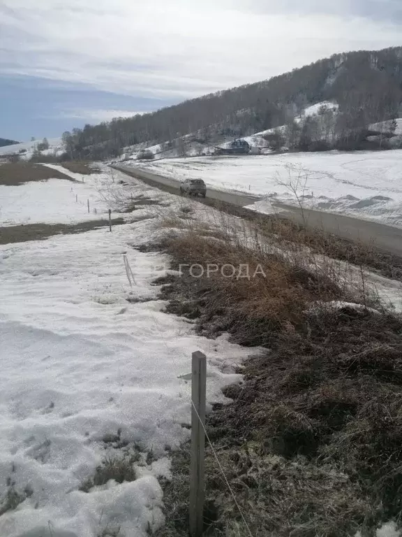 Участок в Алтайский край, Белокуриха Ленский пер., 5 (400.0 сот.) - Фото 0