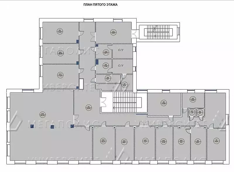 Офис (1090 м) - Фото 2