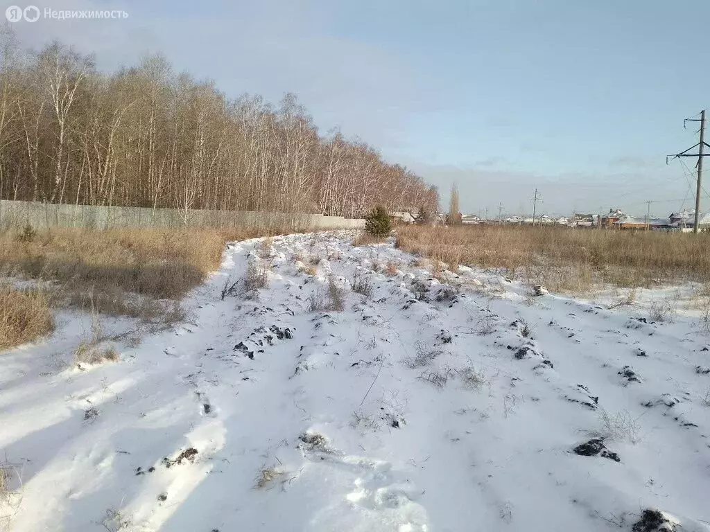 Участок в село Луговое, Лесная улица (5.72 м) - Фото 2