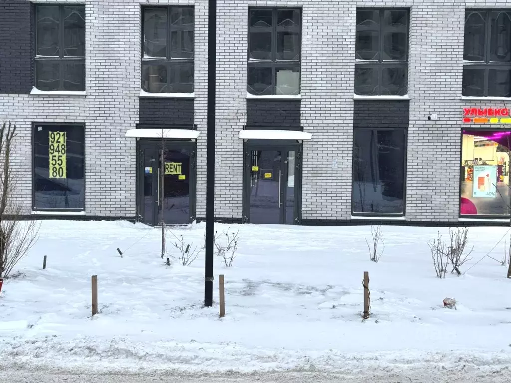 Помещение свободного назначения в Санкт-Петербург просп. Энгельса, 29 ... - Фото 2