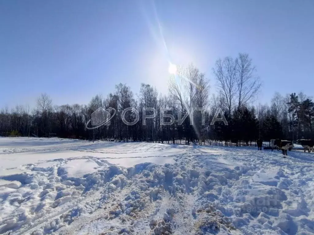 Участок в Тюменская область, Тюменский район, пос. Туринский  (9.52 ... - Фото 2