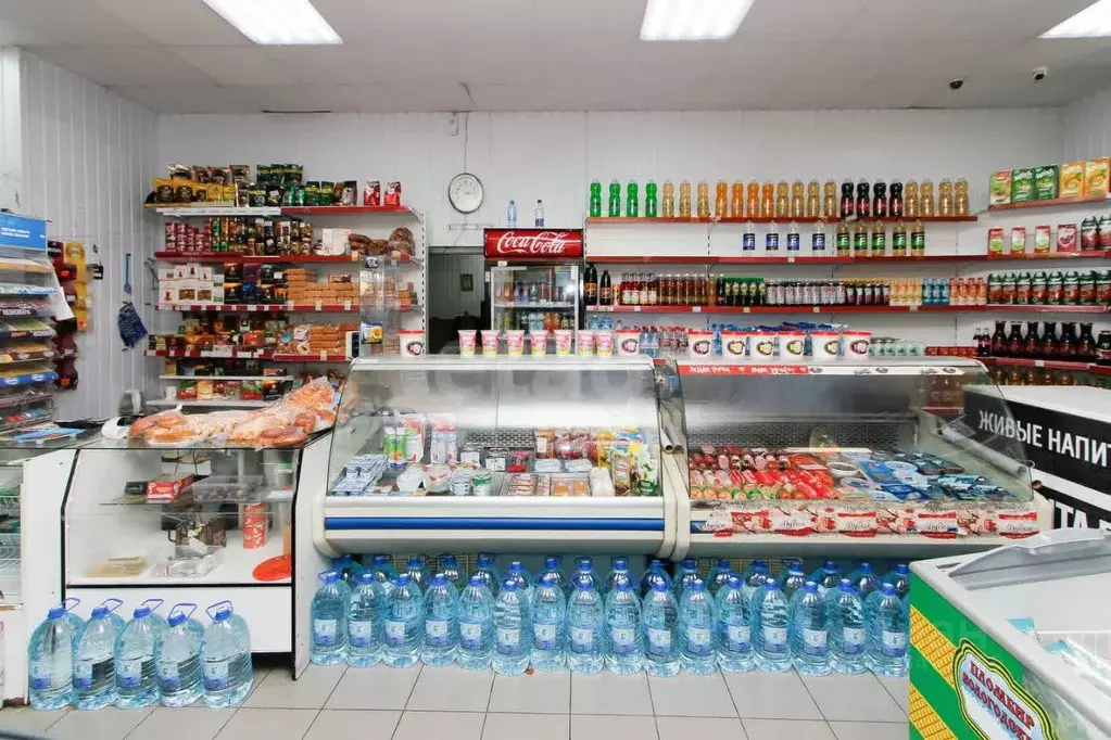 Торговая площадь в Тюменская область, Тюмень ул. Белинского, 12 (92 м) - Фото 1