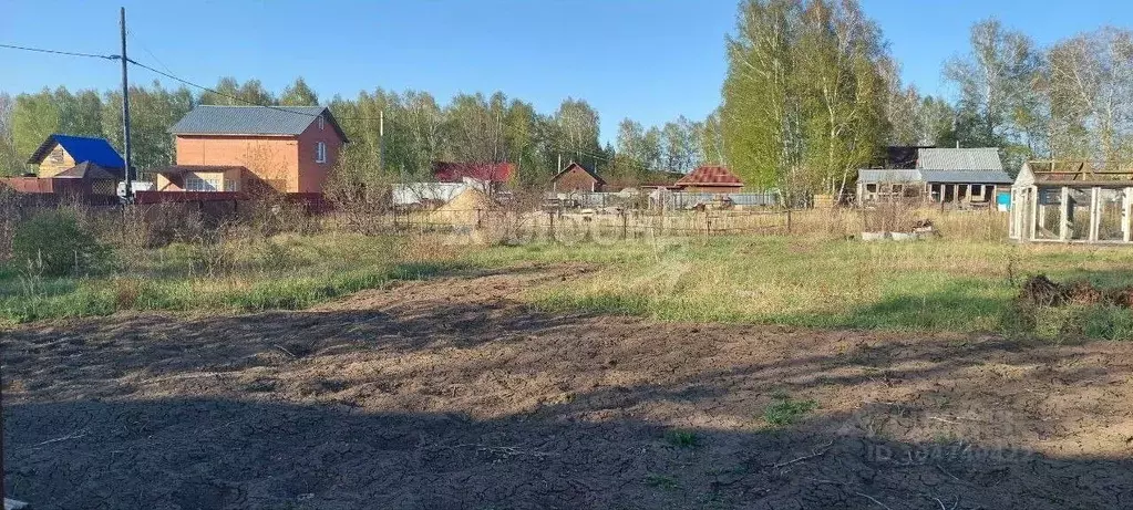 Участок в Новосибирская область, Новосибирский район, Верх-Тулинский ... - Фото 1