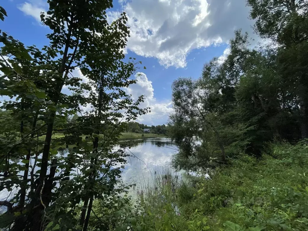 Участок в Московская область, Талдомский городской округ, д. Маклаково ... - Фото 0