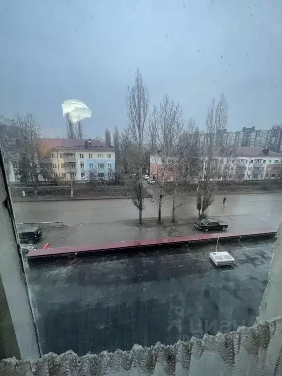 1-к кв. Липецкая область, Елец ул. Яна Фабрициуса, 3 (33.0 м) - Фото 1