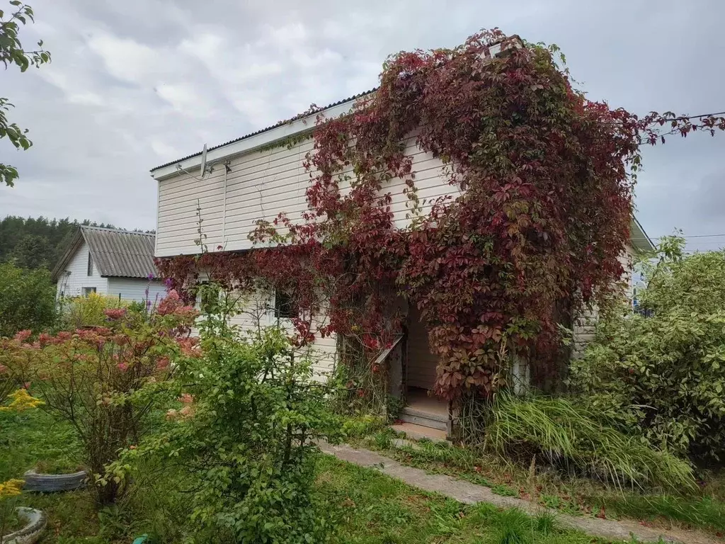 Дом в Ленинградская область, Приморск Ручеек СНТ,  (30 м) - Фото 1