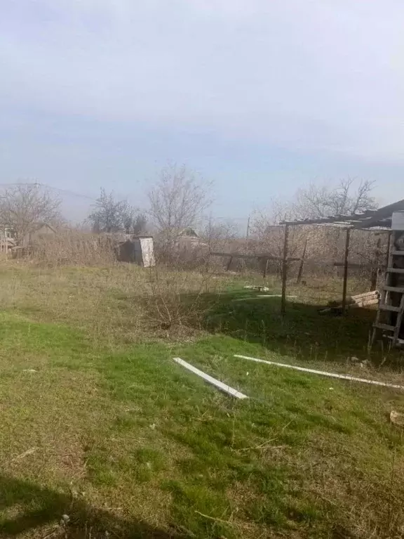 Участок в Волгоградская область, Волгоград Восход СНТ, 24-я линия ... - Фото 1