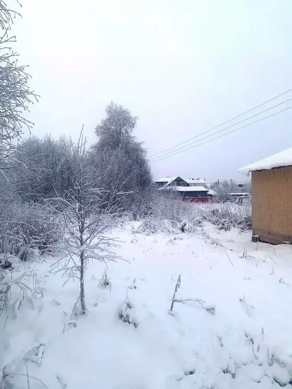 Участок в Архангельская область, Приморский муниципальный округ, пос. ... - Фото 1