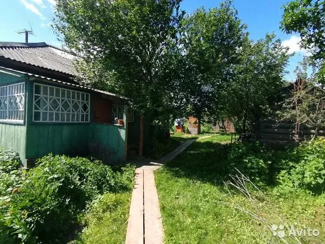 Алтайский край село черемушкино. Погода в борисово алтайский край залесовский. Вастома ялгат борисово. Село думчево алтайский край. Погода в борисово алтайский край залесовский.