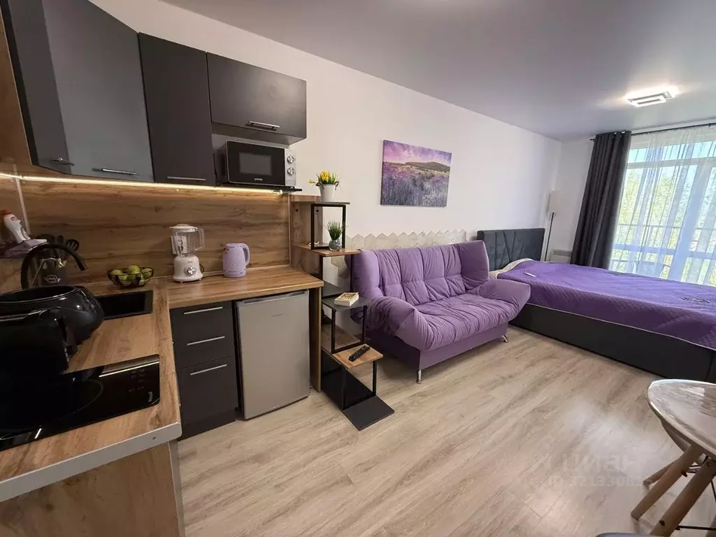 Студия Крым, Сакский район, с. Фрунзе ул. Мира, 27А (27.0 м) - Фото 1