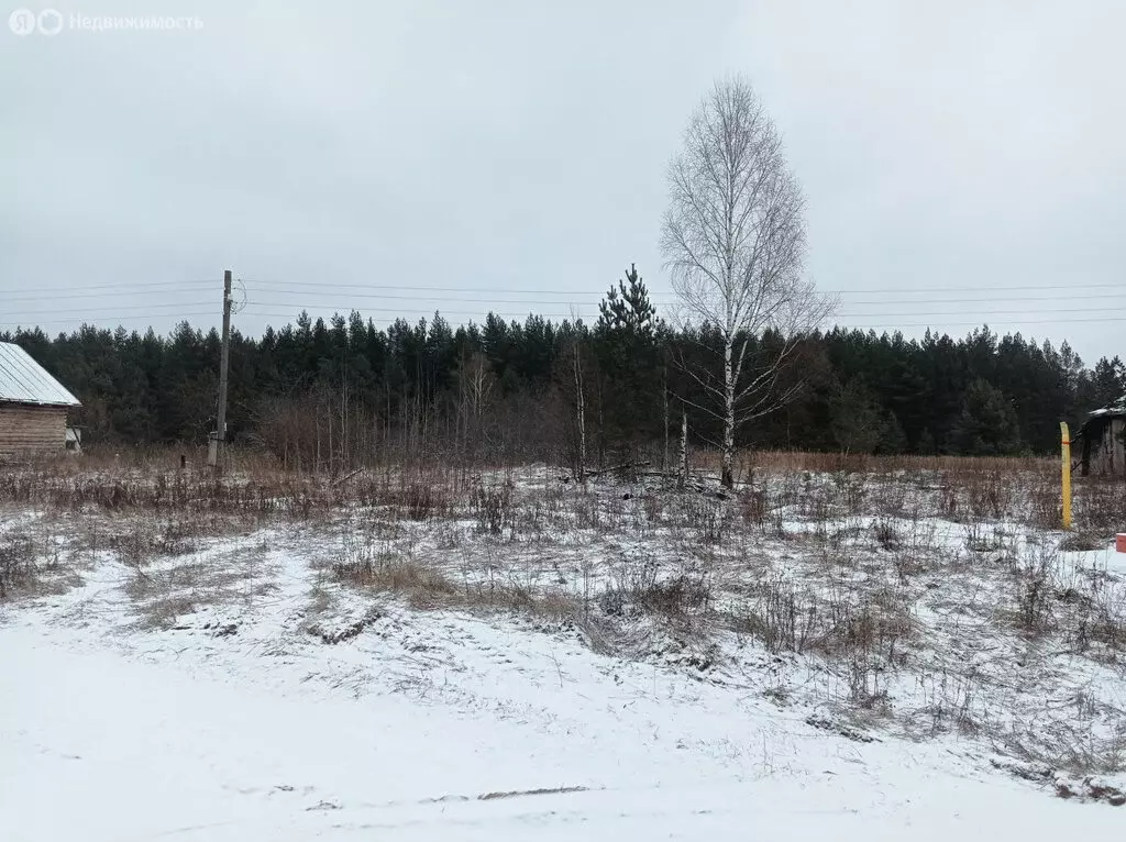 Участок в Гусь-Хрустальный район, муниципальное образование Красное ... - Фото 1