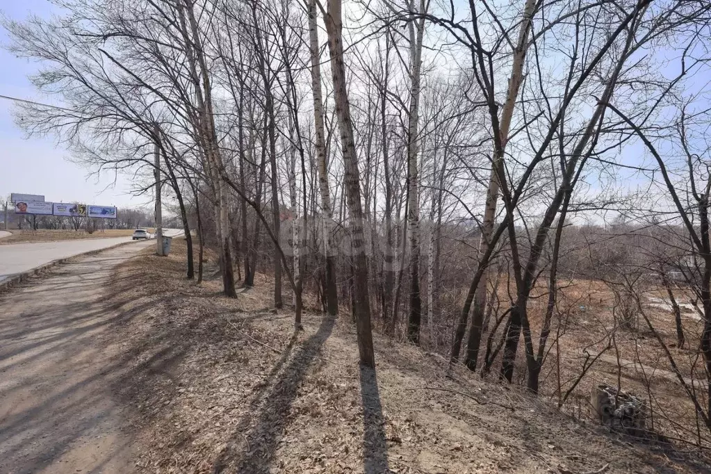 Участок в Хабаровский край, Хабаровск ул. Свердлова (10.0 сот.) - Фото 1