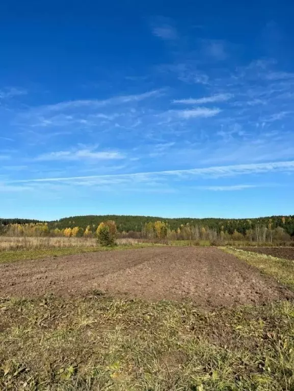 Участок в Пермский край, Кунгурский муниципальный округ, с. Жилино ул. ... - Фото 1