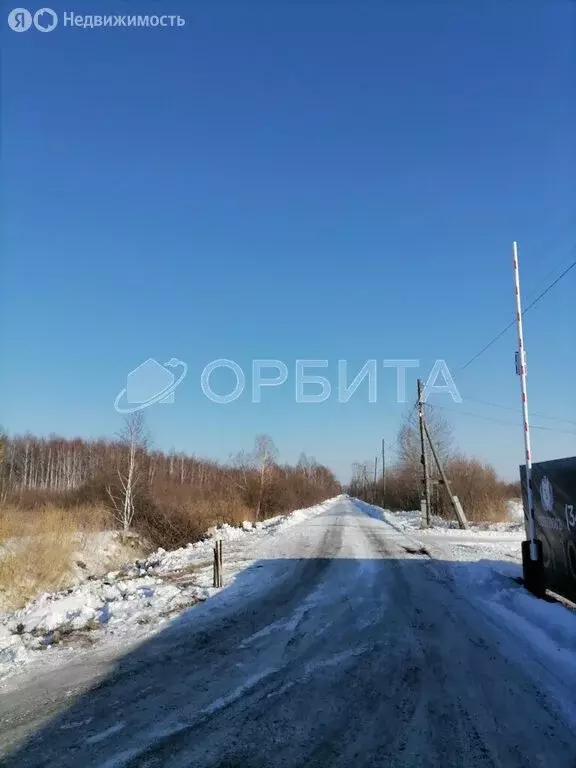 Участок в Тюменский район, деревня Решетникова (6 м) - Фото 0