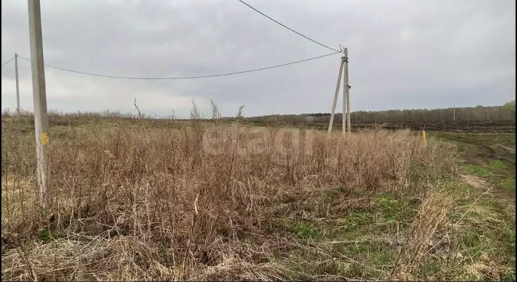 Участок в Башкортостан, Уфимский район, Жуковский сельсовет, д. ... - Фото 1