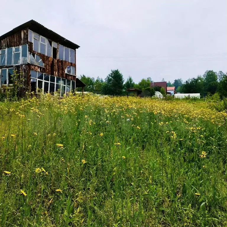 Садовые Участки Купить Иркутск Недорого