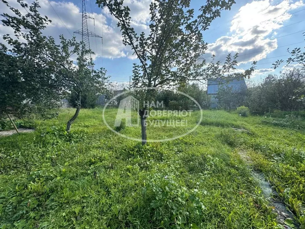 Участок в Пермский край, Чайковский городской округ, с. Ольховка ул. ... - Фото 1