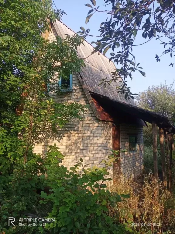 Дом в Белгородская область, Яковлевский муниципальный округ, Садовые ... - Фото 1