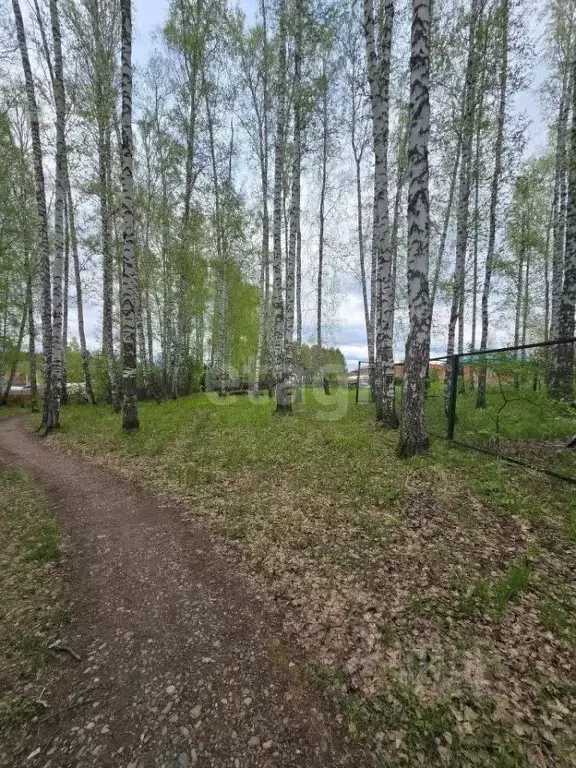 Участок в Томская область, Томск пос. Геологов,  (4.6 сот.) - Фото 0