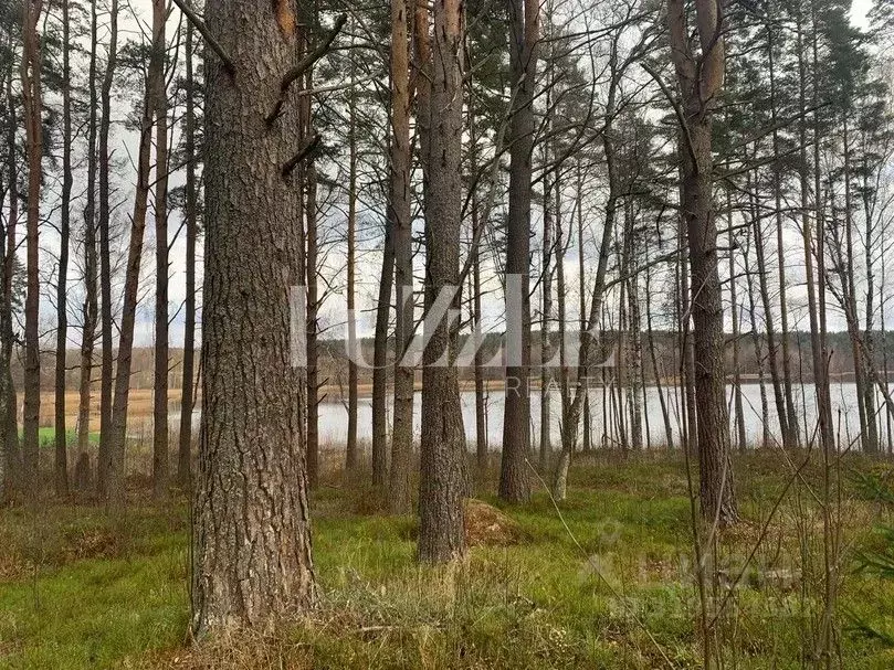 Участок в Ленинградская область, Приозерский район, Громовское с/пос, ... - Фото 0