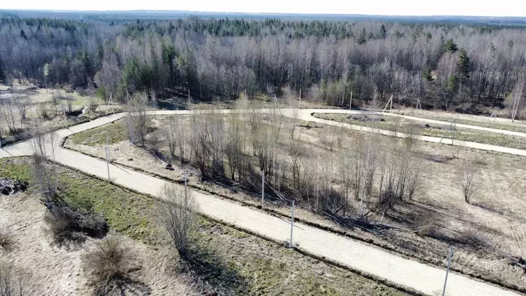 Участок в Ленинградская область, Ломоносовский район, д. Низино ул. ... - Фото 1